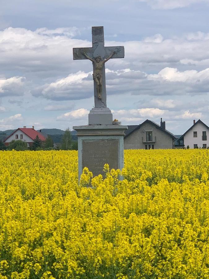 Вілла Dom Na Wzgorzu Поляниця-Здруй Екстер'єр фото